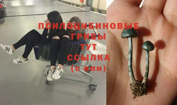 меф Лабытнанги