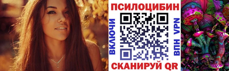 купить  сайты  Стародуб  Галлюциногенные грибы мухоморы 
